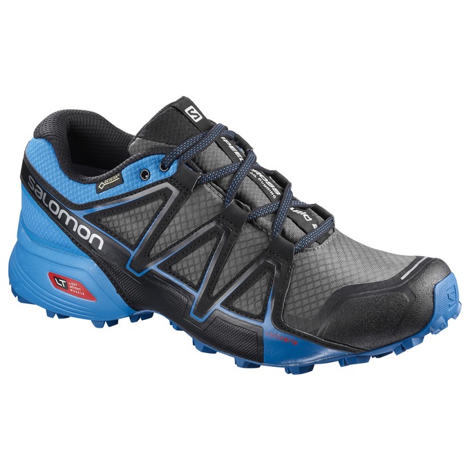 Chaussures De Trail Running Salomon Homme Argent / Bleu - Salomon SPEEDCROSS VARIO 2 GTX® - France (